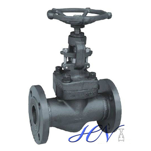 Forged Carbon Steel Flanged Gas Globe Valve