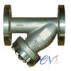 Pipe Stainless Steel Flanged Y Type Strainer