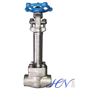 Extended Bonnet Forged SS 304 Gas Solid Gate Valve