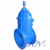 Resilient Seated Flanged Manual Cast Iron Water Gate Valve