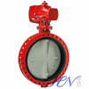 API Double Flanged Cast Iron Gear Operated Centric Butterfly Valve