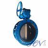 Manual Cast Iron Flanged Quick Opening Concentric Butterfly Valve